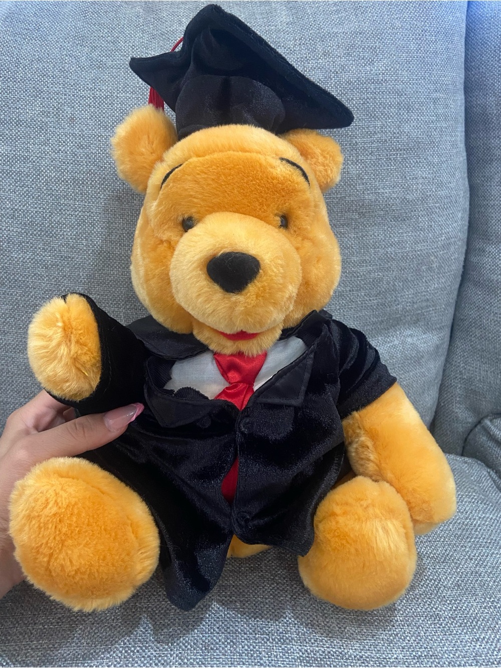 Disney Vintage Winnie The Pooh Graduation Plush